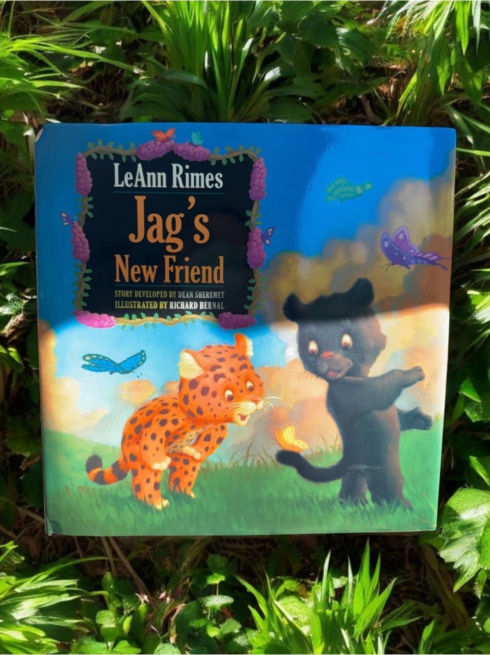 LeAnn Rimes "Jag's New Friend" Children's Book